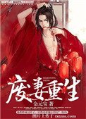 废妻重生(耽美)
